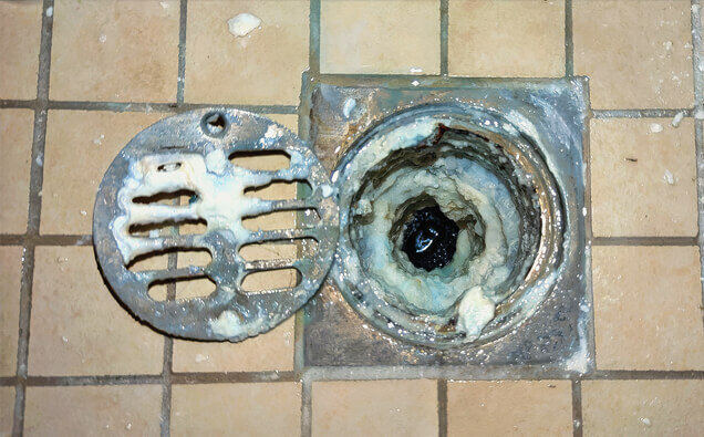 https://blockeddrainsmountlawley.com.au/uploads/2025/07/blocked-shower-drains-33151.jpg