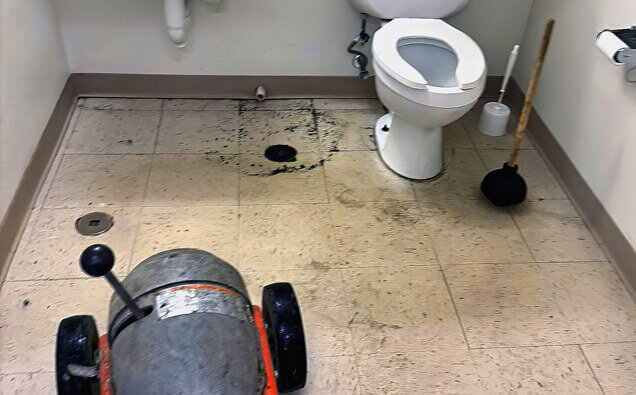 https://blockeddrainsmountlawley.com.au/uploads/2025/07/blocked-toilet-36908.jpg